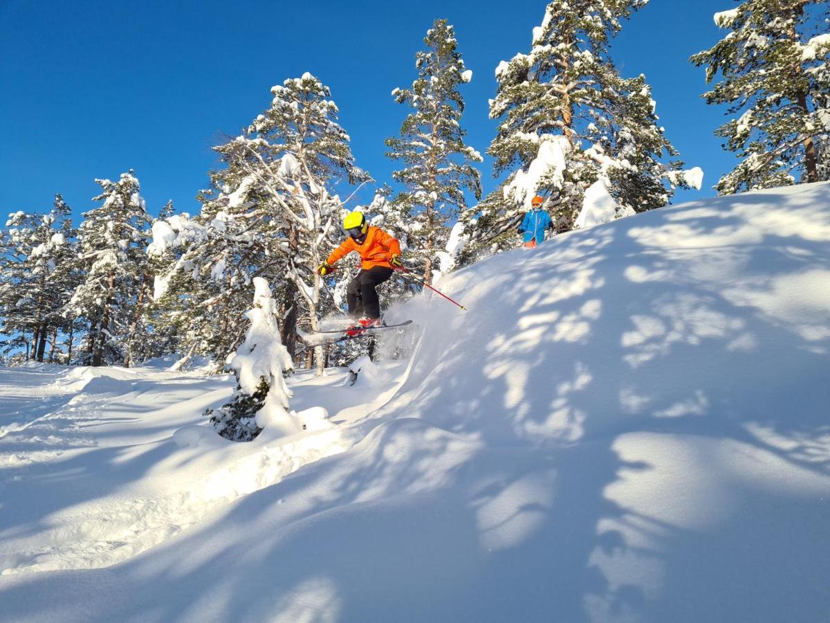 Vradal Panorama - Flott Hytte Pa Toppen Villa Sinnes Exteriör bild