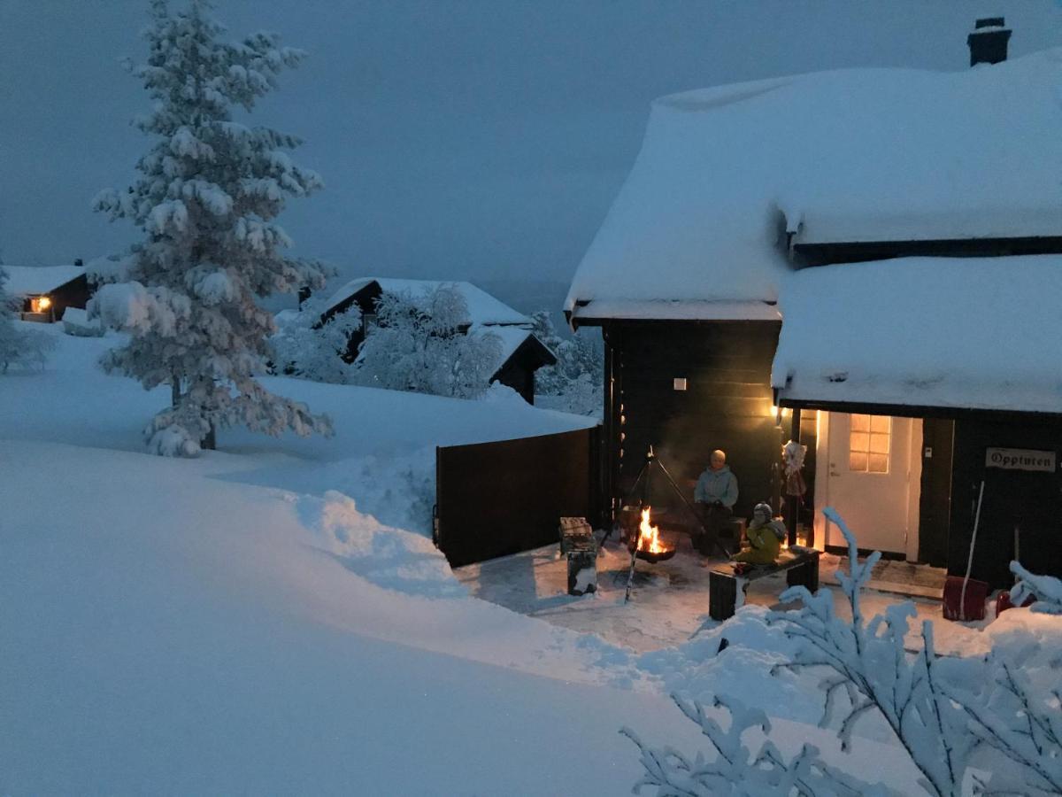 Vradal Panorama - Flott Hytte Pa Toppen Villa Sinnes Exteriör bild