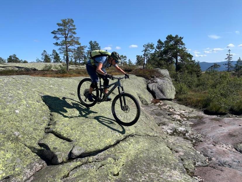 Vradal Panorama - Flott Hytte Pa Toppen Villa Sinnes Exteriör bild